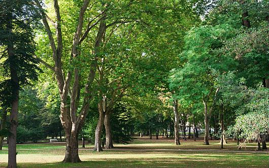 Luitpoldpark
